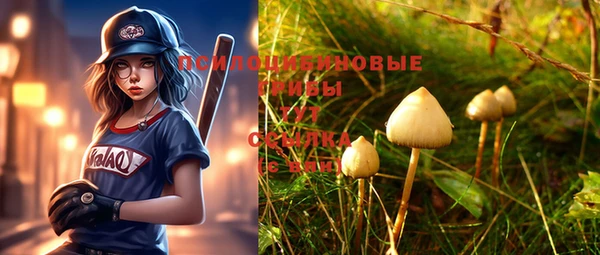 шишки Алексеевка