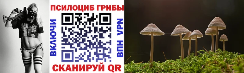 Галлюциногенные грибы мицелий  Лихославль 